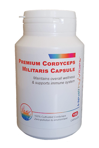 Healthy Vibes Cordyceps Militaris